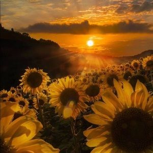 Meet your Posher, Jayda